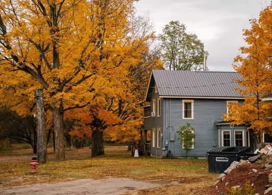 postcard autumn season