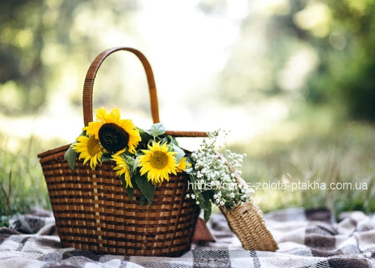 Geflochtener Picknickkorb mit Sonnenblumen und Schleierkraut auf karierter Decke