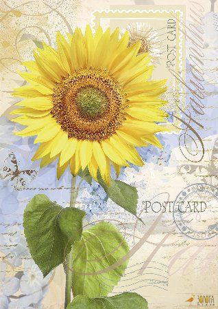 Postkarte mit Sonnenblume, Schmetterling und Vintage-Briefmarke