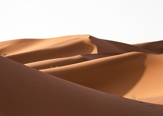 Sonnenbeschienene Sanddünen mit tiefen Schatten und gewellter Struktur
