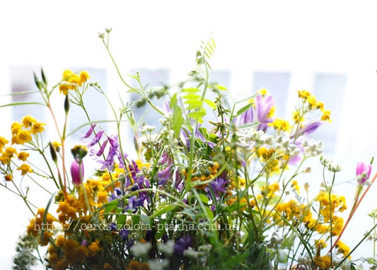 Wildblumenstrauß mit gelben, violetten und weißen Blüten im hellen Gegenlicht