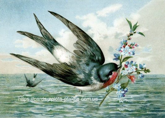 Vintage-Illustration einer Schwalbe mit Vergissmeinnicht über dem Meer