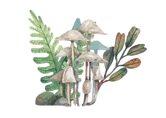 Watercolor cluster of tall parasol mushrooms with fern and autumn leaf branch