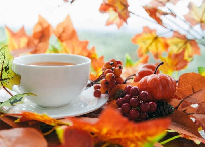 Teacup surrounded by autumn leaves, a mini pumpkin, rowan berries and a pinecone