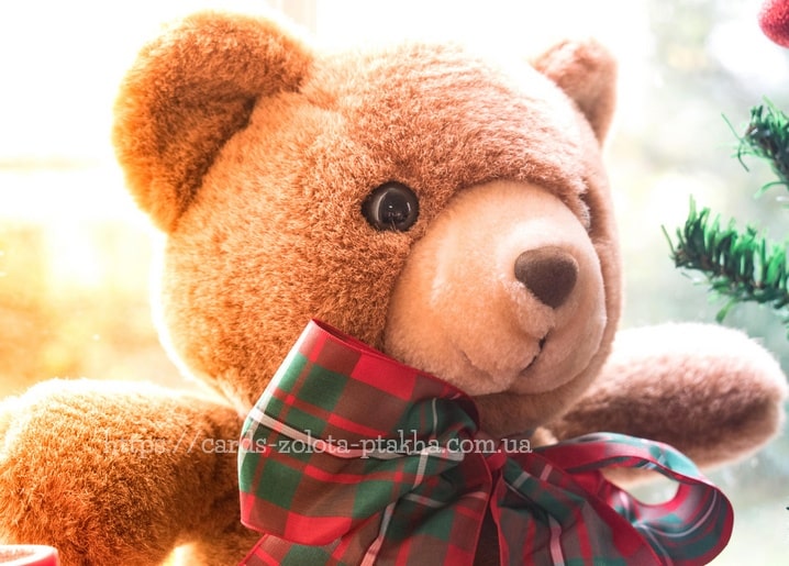 Nahaufnahme eines braunen Teddybären mit rot-grüner Karoschleife am sonnigen Fenster