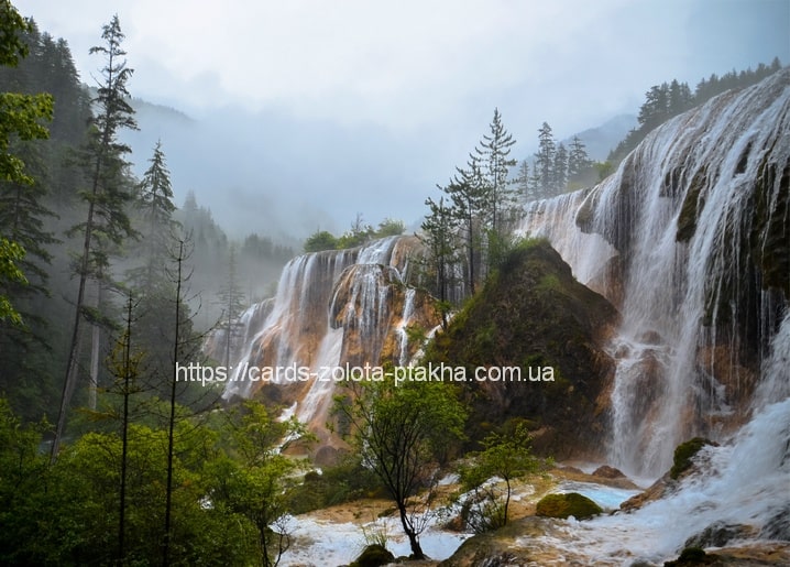 Terrassenwasserfall in einem nebligen Kiefernwald mit weichem goldenem Licht