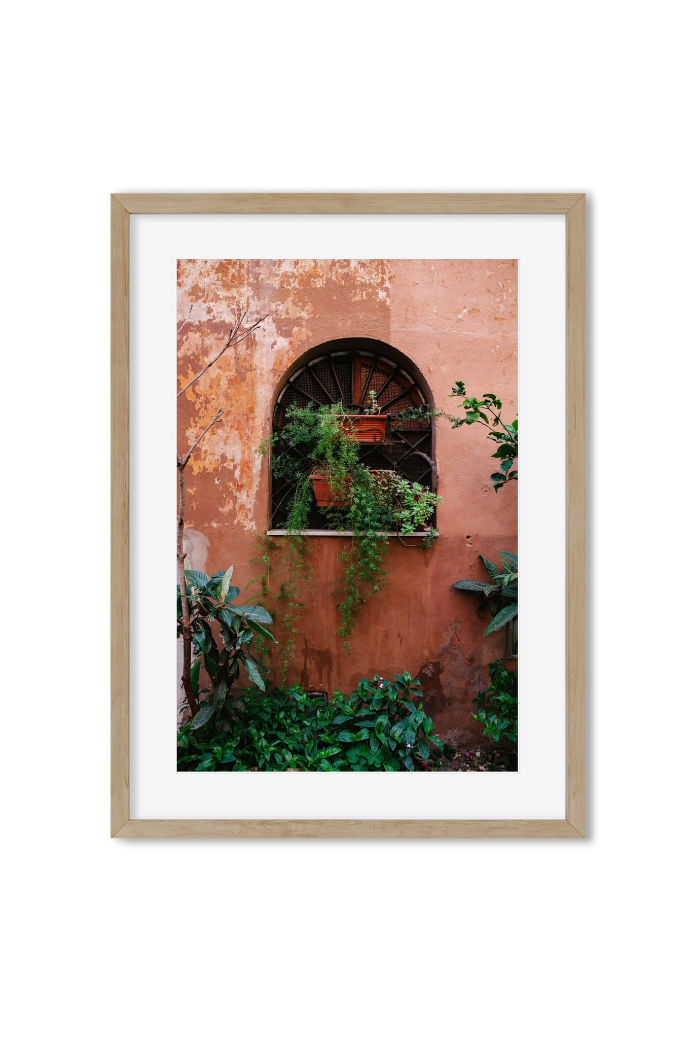Arched window with potted plants on a weathered terracotta wall