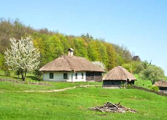 Traditional thatched-roof houses on a green hillside among blossoming spring trees