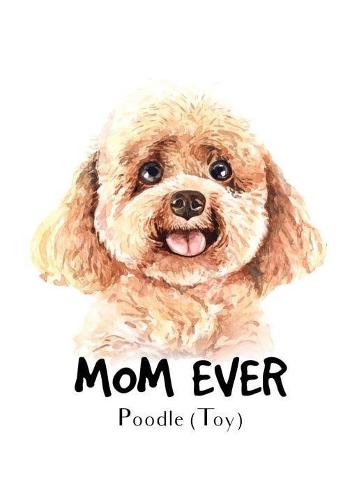Aquarellporträt eines Toy Pudels mit der Bildunterschrift „Beste Mama“