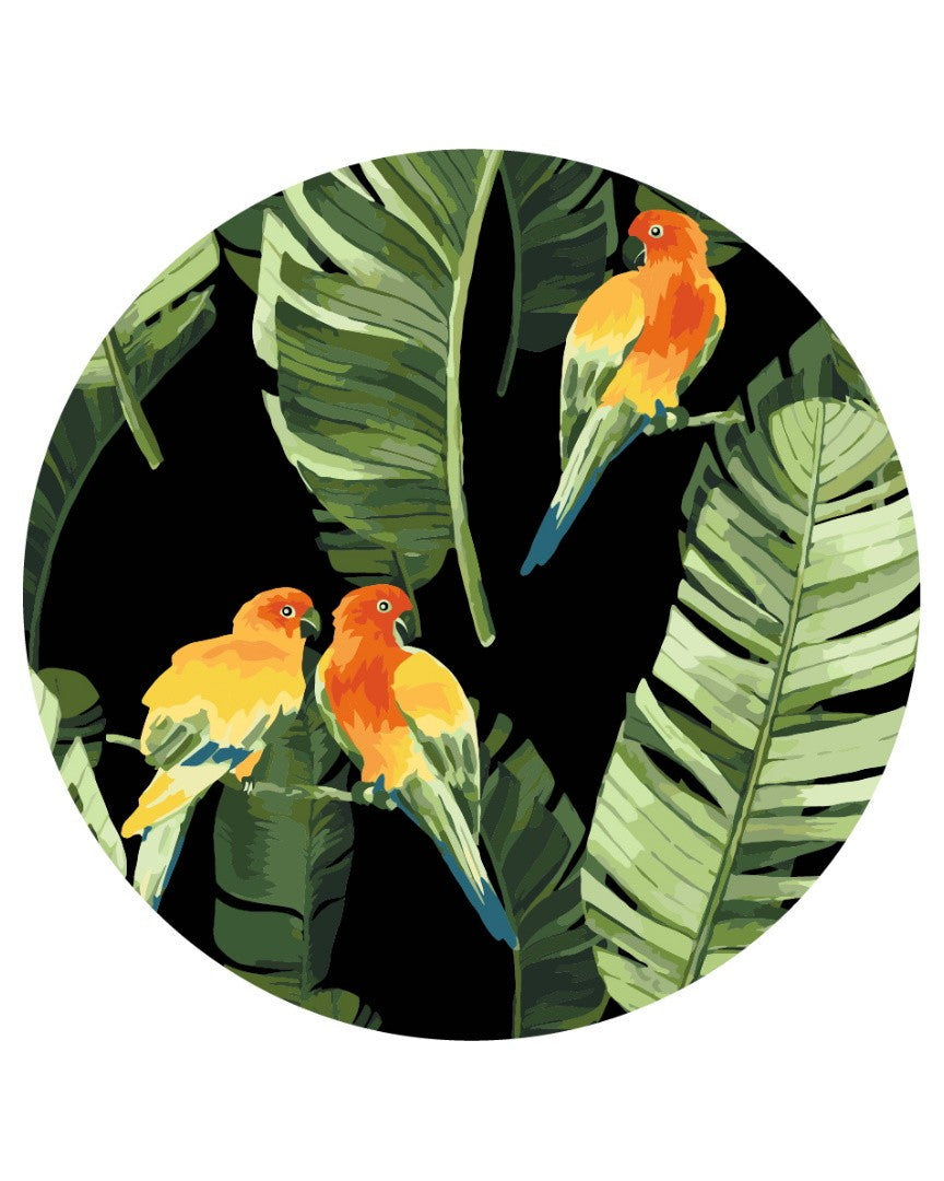 Three orange-and-yellow parrots perched on banana leaves against a dark tropical background.