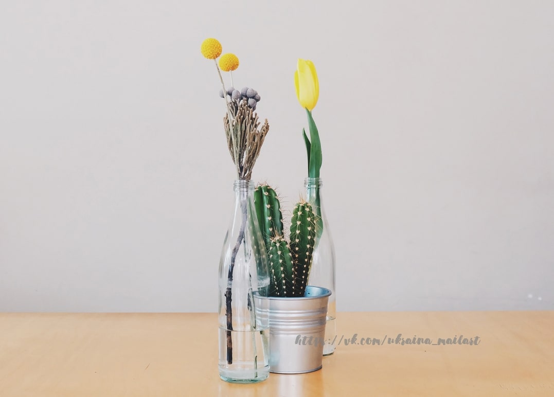 Gelbe Tulpe und Trockenblumen in Glasflaschen neben einem Kaktus im Metalltopf