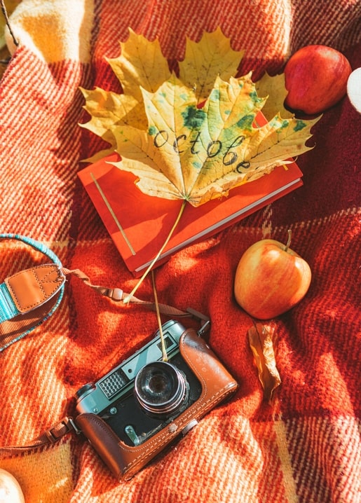 Vintage camera and red notebook under a maple leaf inscribed 'October', with an apple