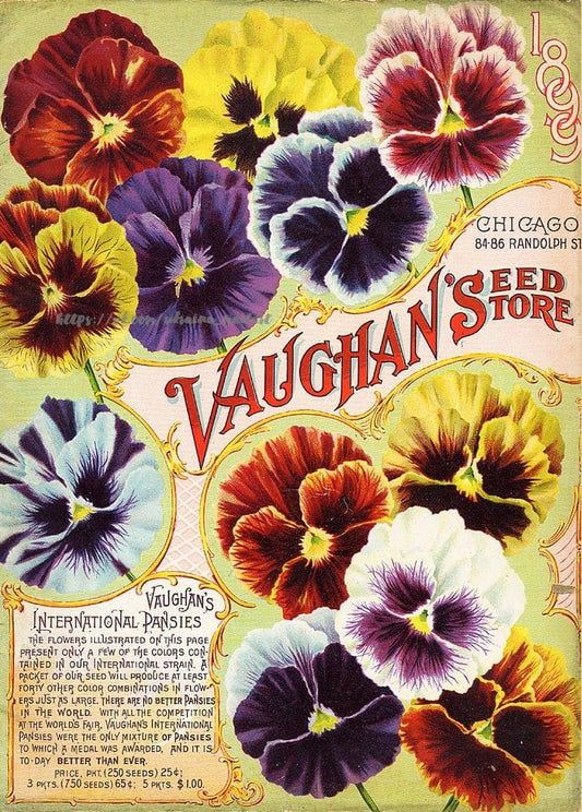 Вінтажна обкладинка каталогу Vaughan's Seed Store з барвистими братками