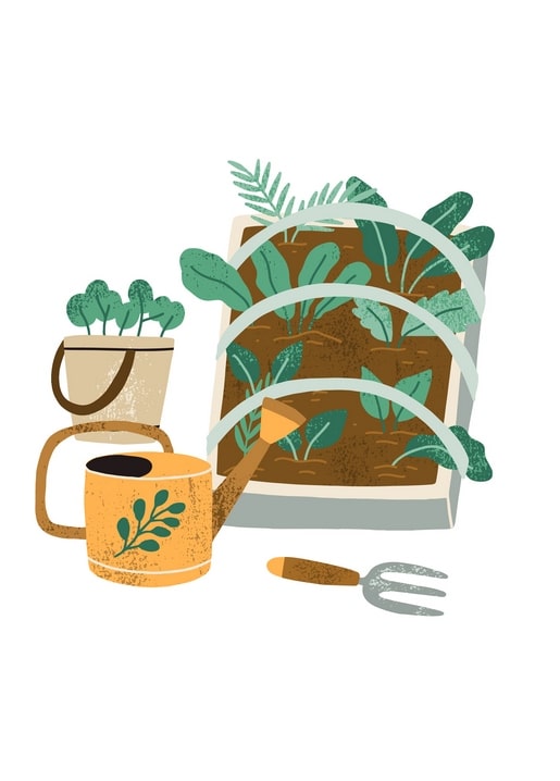 Watering can beside a raised garden bed with seedlings, potted plant, mug, and hand fork