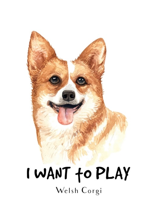 Aquarell-Welsh-Corgi mit herausgestreckter Zunge und der Unterschrift „Ich will spielen“ auf einer Postkarte.