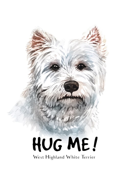 Aquarell-Postkarte mit West Highland White Terrier unter dem Schriftzug „Umarme mich!“