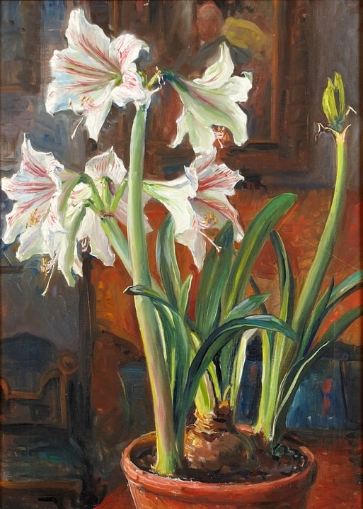 Gemälde von Fanny Brate: weiße Amaryllis mit rosa-roten Streifen im Terrakottatopf