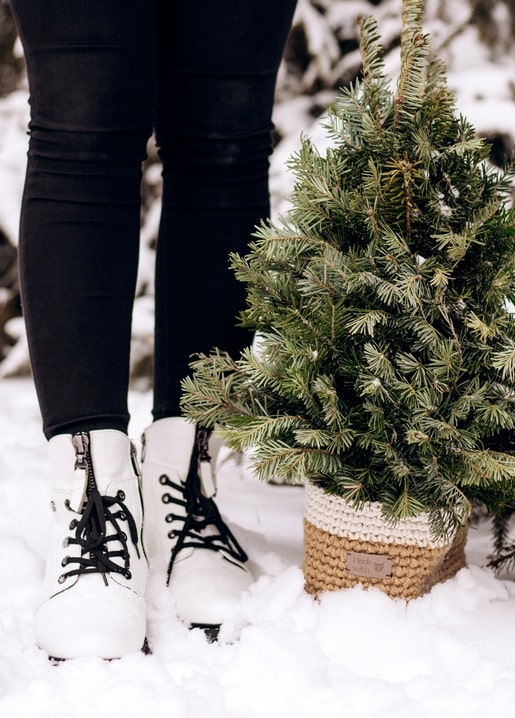 White lace-up boots beside a small burlap-wrapped fir tree in the snow