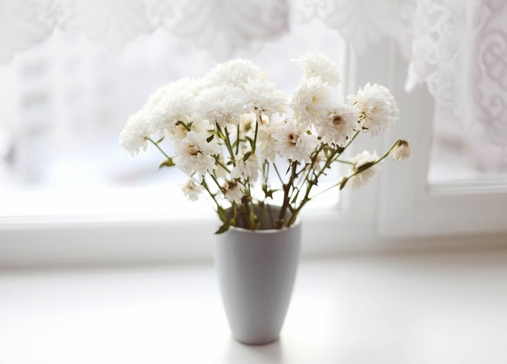 White chrysanthemum bouquet in a gray vase by a lace-curtained window