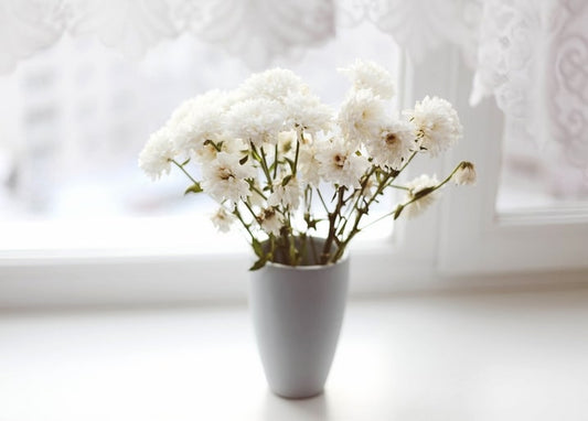 White chrysanthemum bouquet in a gray vase by a lace-curtained window