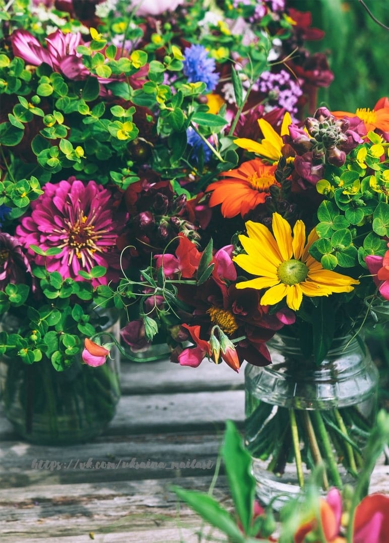 Zinnien, Sonnenhut und Kornblumen in zwei Einmachgläsern auf einer Holzbank