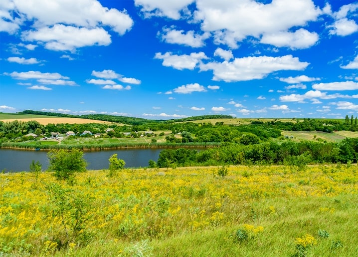 Жовті лучні квіти над річкою та село вдалині під літнім небом