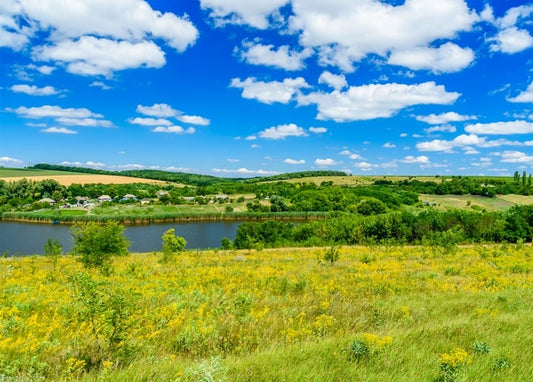 Gelbe Wildblumenwiese über einem Fluss mit einem Dorf im Hintergrund unter Sommerhimmel