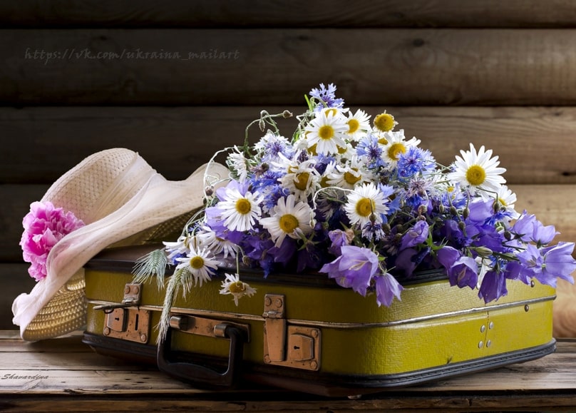 Alter gelber Koffer, aus dem ein Strauß Gänseblümchen, Kornblumen und Glockenblumen quillt, daneben ein Strohhut mit Rose