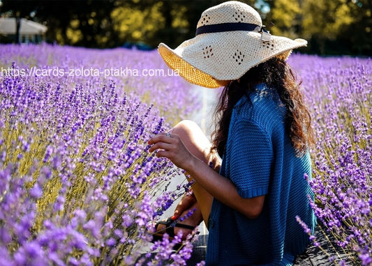 Frau mit Strohhut pflückt Lavendel auf einem sonnigen Feld