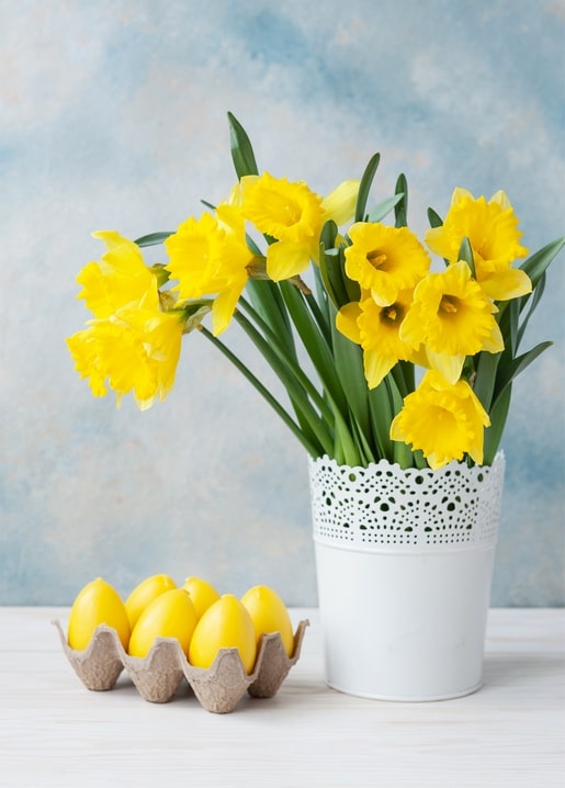 Yellow daffodils in a lace-trimmed pot next to a carton of dyed yellow eggs